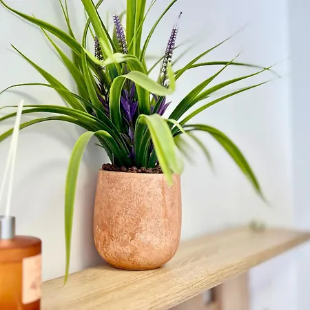 アパート Charm 3 ヴァルナ