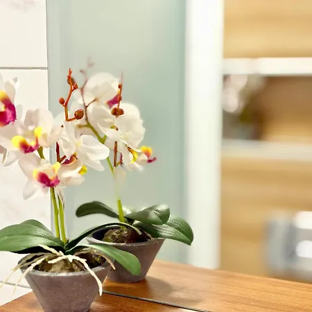 Charm 3 アパート ヴァルナ