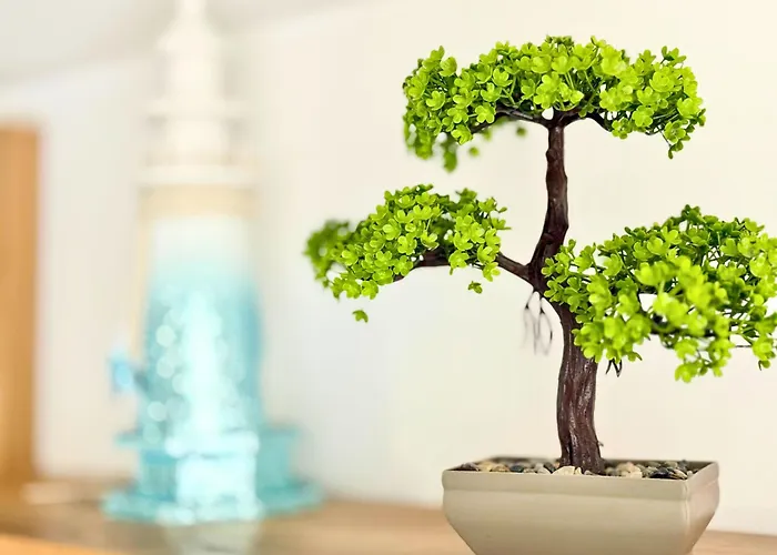 Apartment Charm 3 Warna