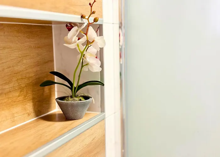 Charm 3 Apartment Warna