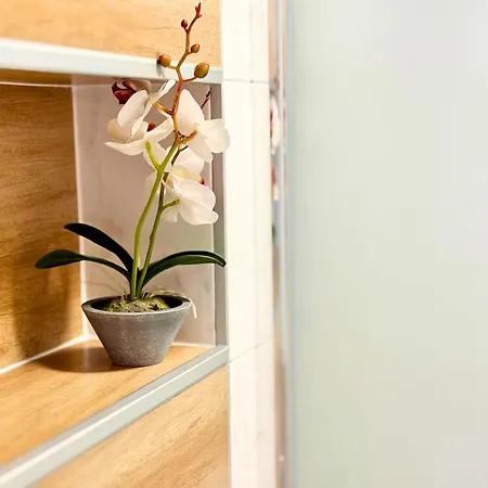 Charm 3 Appartement Varna